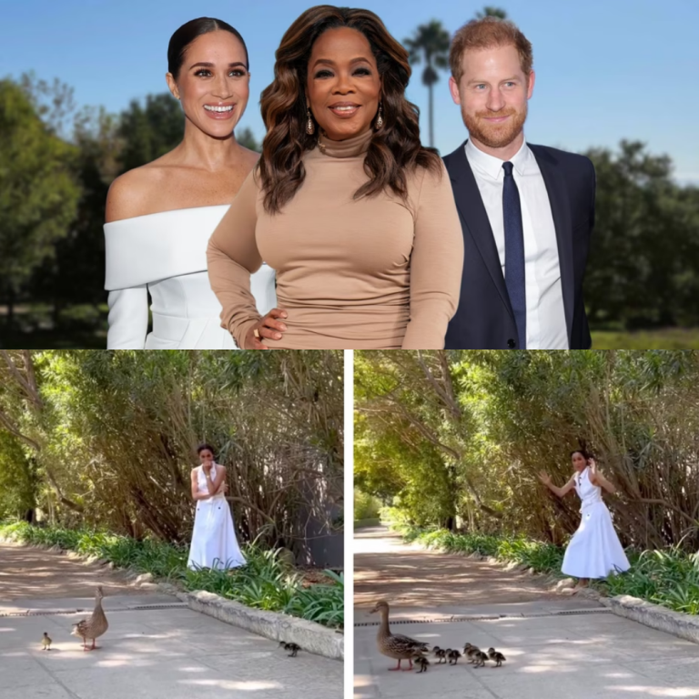 “Oprah Unveils Shocking Call: Prince Harry and Meghan Markle’s $14.65 Million Mansion Gets Overrun by Ducks – And They Need Her Help!”