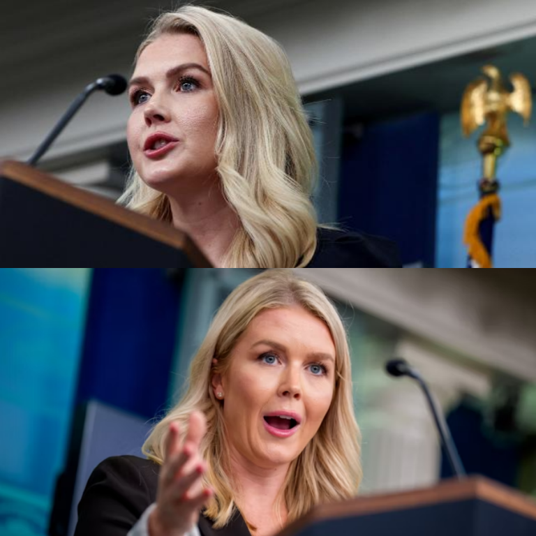Karoline Leavitt Shocks the Nation: Exposes Hypocrisy of Democrats in the Epstein Case, Demands Full Disclosure of Hidden Files and Accountability from Top Politicians! |DD