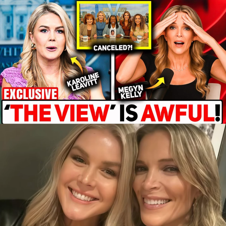 “They thought they were untouchable!” — Karoline Leavitt just brought The View to its knees Did one bold move just change the entire media landscape?