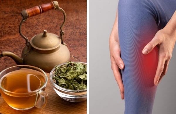 9 Little-Known Herbs for Restless Leg Syndrome Backed by Science