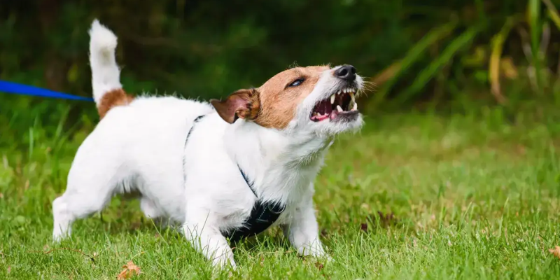 Common Exclusions And Limitations To Be Aware Of