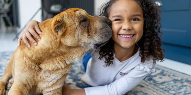 The Nuance Of Spaying And Neutering Coverage