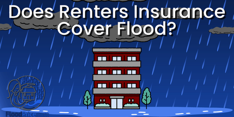The basics of renters insurance